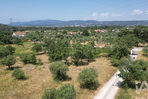 Terra a Ansiao, Leiria, Ansiao - € 53.000 | Ref: 145308 - foto 17