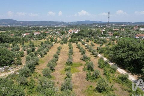 Terra a Ansiao, Leiria, Ansiao - € 53.000 | Ref: 145308 - foto 18