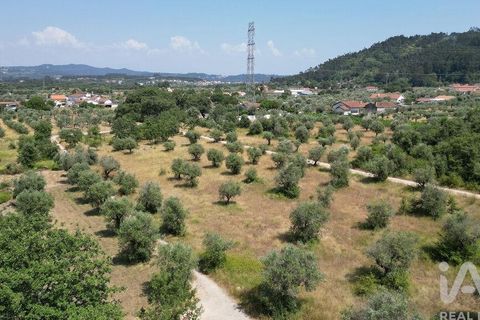Terra a Ansiao, Leiria, Ansiao - € 53.000 | Ref: 145308 - foto 19