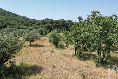 Terra a Ansiao, Leiria, Ansiao - € 53.000 | Ref: 145308 - foto 20
