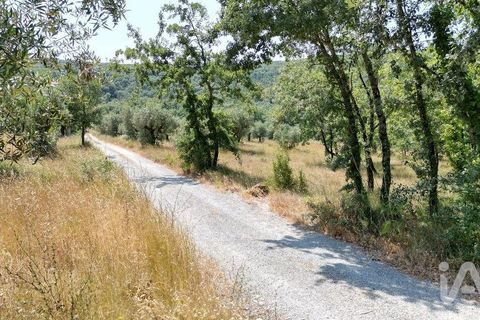 Terra a Ansiao, Leiria, Ansiao - € 53.000 | Ref: 145308 - foto 21