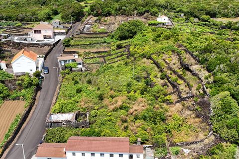 Helårsgrund i Lajes do Pico, Pico, Lajes do Pico - € 115.000 | Ref: 374250120 - foto 5