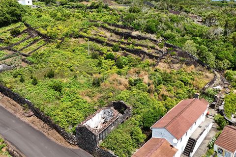 Helårsgrund i Lajes do Pico, Pico, Lajes do Pico - € 115.000 | Ref: 374250120 - foto 7
