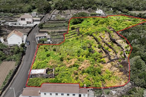 Helårsgrund i Lajes do Pico, Pico, Lajes do Pico - € 115.000 | Ref: 374250120 - foto 8