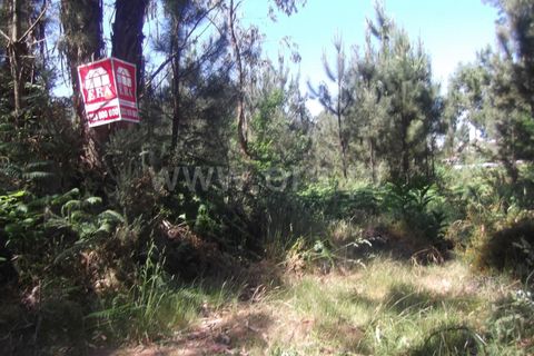 Helårsgrund i Barcelos, Braga, Barcelos - € 40.000 | Ref: 254150224 - foto 3