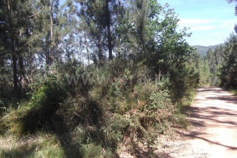 Helårsgrund i Barcelos, Braga, Barcelos - € 40.000 | Ref: 254150224 - foto 6
