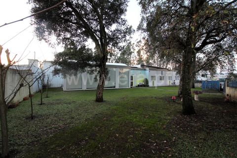 Helårsgrund i Barcelos, Braga, Barcelos - € 250.000 | Ref: 254180031 - foto 3