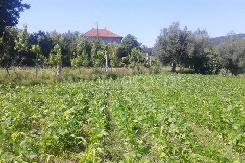 Helårsgrund i Barcelos, Braga, Barcelos - € 40.000 | Ref: 254170126 - foto 2