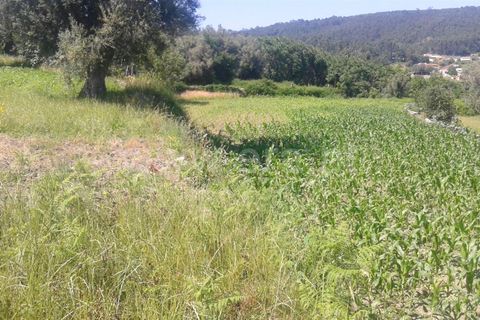 Helårsgrund i Barcelos, Braga, Barcelos - € 40.000 | Ref: 254170126 - foto 3