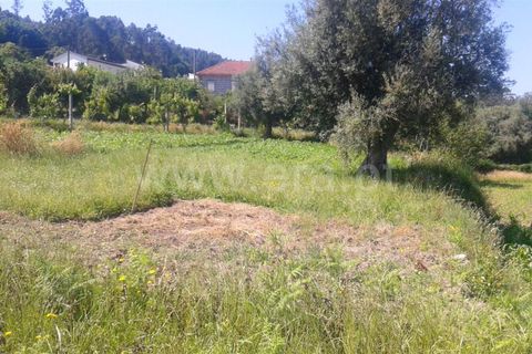 Helårsgrund i Barcelos, Braga, Barcelos - € 40.000 | Ref: 254170126 - foto 4