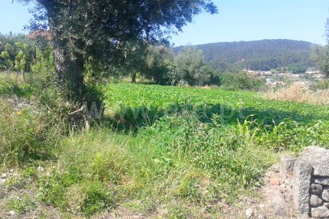 Helårsgrund i Barcelos, Braga, Barcelos - € 40.000 | Ref: 254170126 - foto 5