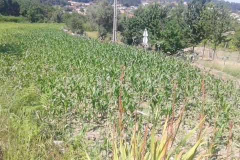 Helårsgrund i Barcelos, Braga, Barcelos - € 40.000 | Ref: 254170126 - foto 6