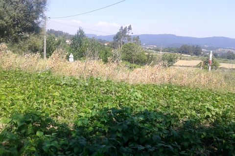 Helårsgrund i Barcelos, Braga, Barcelos - € 40.000 | Ref: 254170126 - foto 7