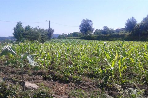 Helårsgrund i Barcelos, Braga, Barcelos - € 40.000 | Ref: 254170126 - foto 8
