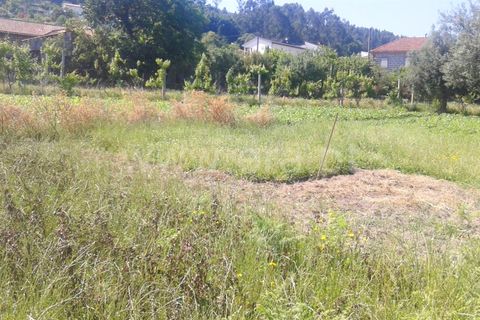 Helårsgrund i Barcelos, Braga, Barcelos - € 40.000 | Ref: 254170126 - foto 9