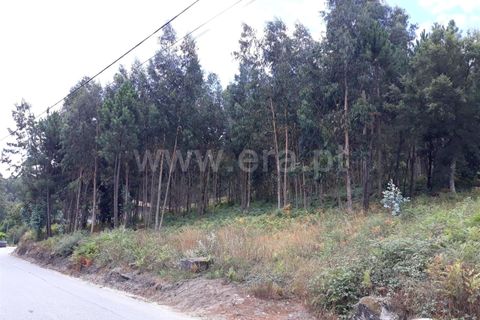 Helårsgrund i Barcelos, Braga, Barcelos - € 96.000 | Ref: 254190399 - foto 2