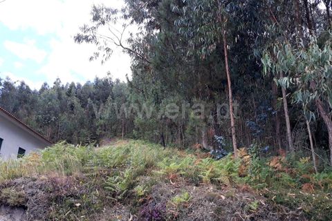 Helårsgrund i Barcelos, Braga, Barcelos - € 96.000 | Ref: 254190399 - foto 3