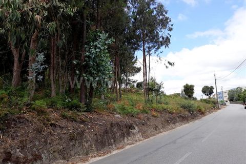 Helårsgrund i Barcelos, Braga, Barcelos - € 96.000 | Ref: 254190399 - foto 4
