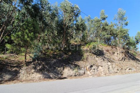 Helårsgrund i Barcelos, Braga, Barcelos - € 70.000 | Ref: 254180305 - foto 3
