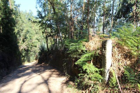 Helårsgrund i Barcelos, Braga, Barcelos - € 70.000 | Ref: 254180305 - foto 5