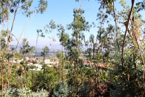 Helårsgrund i Barcelos, Braga, Barcelos - € 70.000 | Ref: 254180305 - foto 7