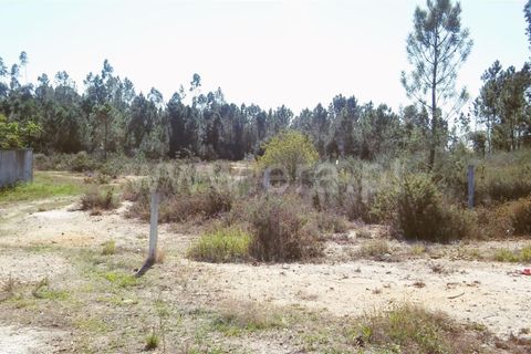 Helårsgrund i Barcelos, Braga, Barcelos - € 150.000 | Ref: 254160299 - foto 2