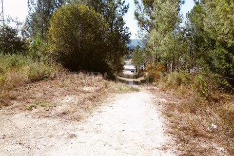 Helårsgrund i Barcelos, Braga, Barcelos - € 150.000 | Ref: 254160299 - foto 5