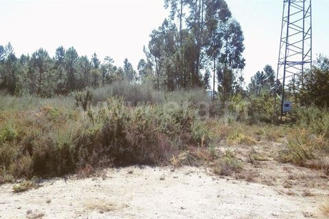 Helårsgrund i Barcelos, Braga, Barcelos - € 150.000 | Ref: 254160299 - foto 6