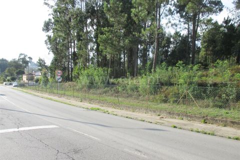 Helårsgrund i Barcelos, Braga, Barcelos - € 750.000 | Ref: 254240226 - foto 3