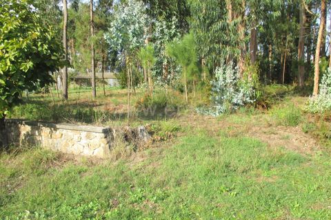 Helårsgrund i Barcelos, Braga, Barcelos - € 750.000 | Ref: 254240226 - foto 4