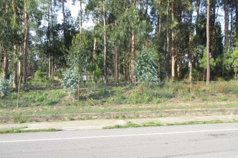 Helårsgrund i Barcelos, Braga, Barcelos - € 750.000 | Ref: 254240226 - foto 5