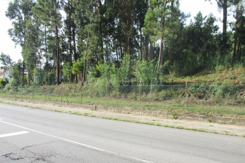 Helårsgrund i Barcelos, Braga, Barcelos - € 750.000 | Ref: 254240226 - foto 6