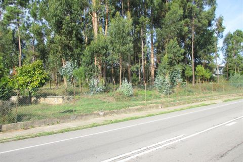 Helårsgrund i Barcelos, Braga, Barcelos - € 750.000 | Ref: 254240226 - foto 7