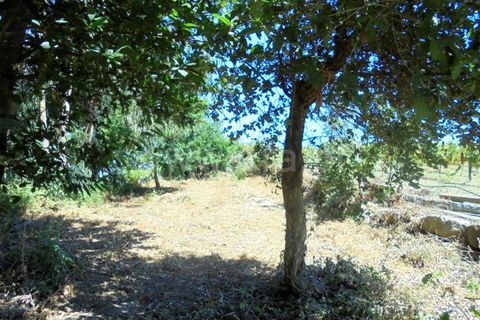 Helårsgrund i Barcelos, Braga, Barcelos - € 15.000 | Ref: 254170190 - foto 2