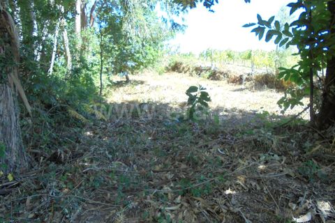 Helårsgrund i Barcelos, Braga, Barcelos - € 15.000 | Ref: 254170190 - foto 3