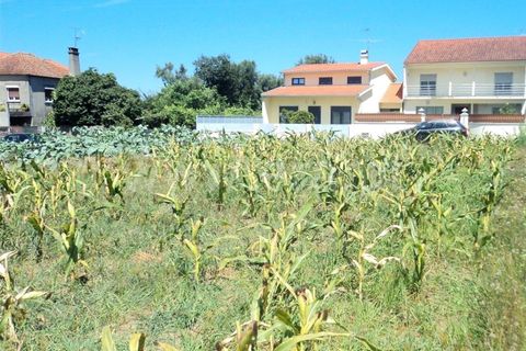 Helårsgrund i Barcelos, Braga, Barcelos - € 47.000 | Ref: 254170192 - foto 4