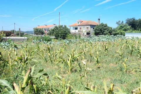 Helårsgrund i Barcelos, Braga, Barcelos - € 47.000 | Ref: 254170192 - foto 5
