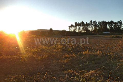 Helårsgrund i Barcelos, Braga, Barcelos - € 42.000 | Ref: 254160294 - foto 3