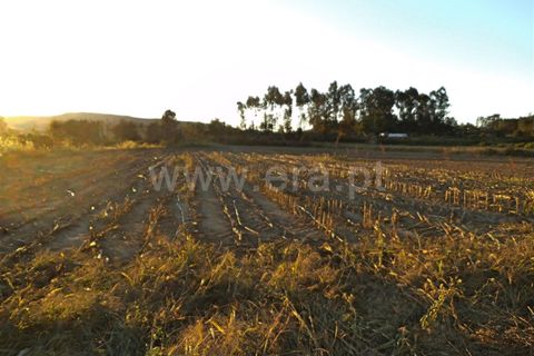 Helårsgrund i Barcelos, Braga, Barcelos - € 42.000 | Ref: 254160294 - foto 4