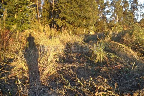 Helårsgrund i Barcelos, Braga, Barcelos - € 42.000 | Ref: 254160294 - foto 7