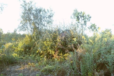Helårsgrund i Barcelos, Braga, Barcelos - € 31.000 | Ref: 254160293 - foto 3
