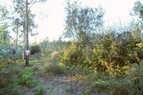 Helårsgrund i Barcelos, Braga, Barcelos - € 31.000 | Ref: 254160293 - foto 4