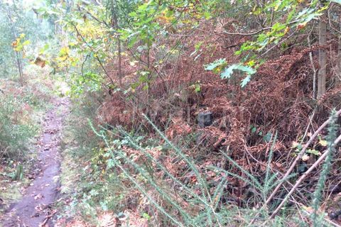 Helårsgrund i Barcelos, Braga, Barcelos - € 10.000 | Ref: 254180395 - foto 2