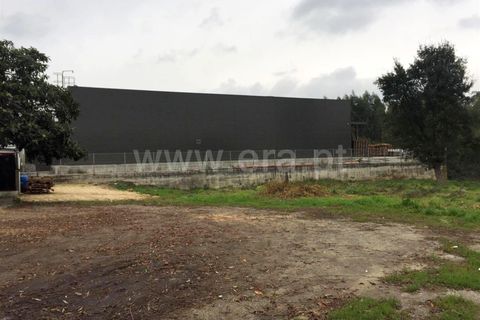 Helårsgrund i Barcelos, Braga, Barcelos - € 140.000 | Ref: 254180408 - foto 3