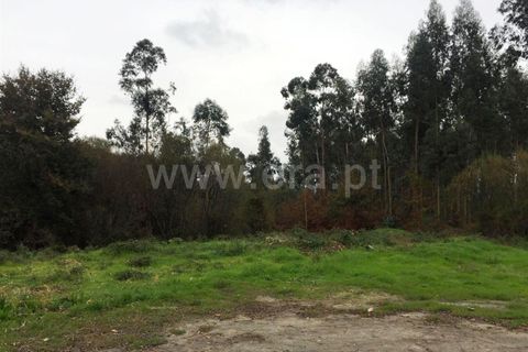 Helårsgrund i Barcelos, Braga, Barcelos - € 140.000 | Ref: 254180408 - foto 4