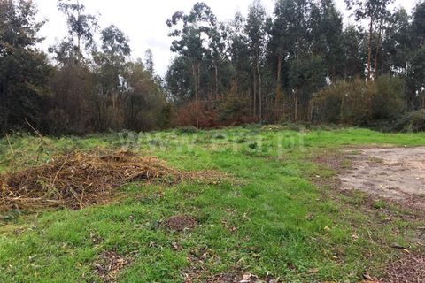 Helårsgrund i Barcelos, Braga, Barcelos - € 140.000 | Ref: 254180408 - foto 5