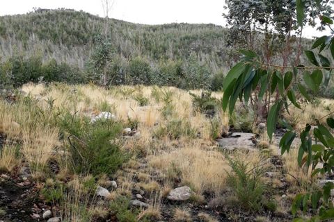 Helårsgrund i Barcelos, Braga, Barcelos - € 9.000 | Ref: 254180350 - foto 3