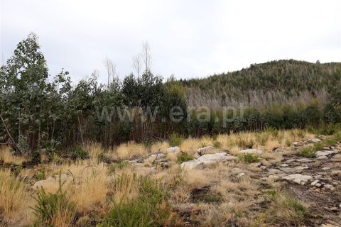 Helårsgrund i Barcelos, Braga, Barcelos - € 9.000 | Ref: 254180350 - foto 4