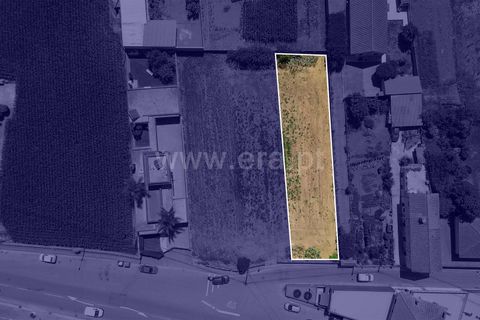 Helårsgrund i Barcelos, Braga, Barcelos - € 88.000 | Ref: 254250179 - foto 4