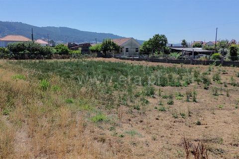 Helårsgrund i Barcelos, Braga, Barcelos - € 88.000 | Ref: 254250179 - foto 5